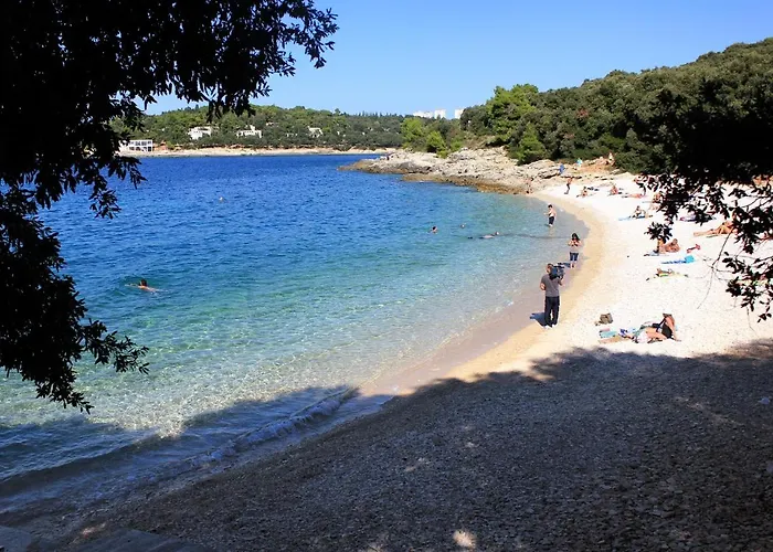 Family Friendly With A Swimming Pool - 15306 Pula